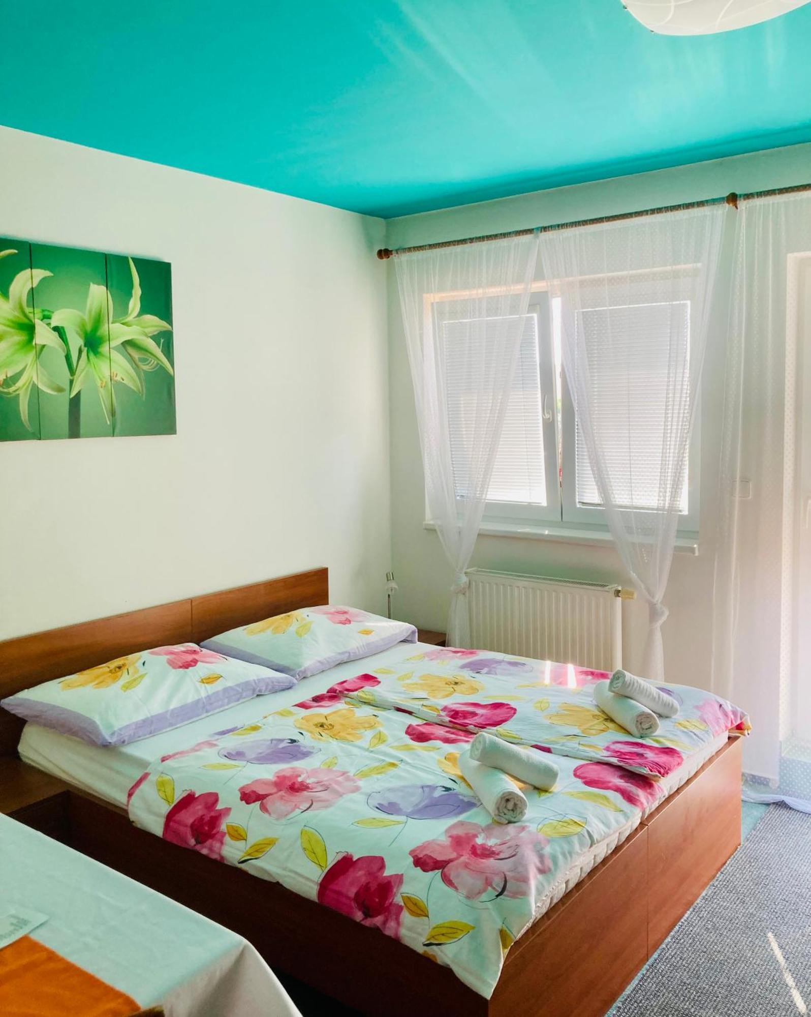 Apartmany, Penzion, Wellness U Zlate Rybky Vyskov Exterior photo